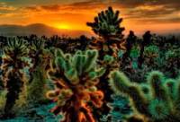 � ������� ������ ������ �������� �������� ����